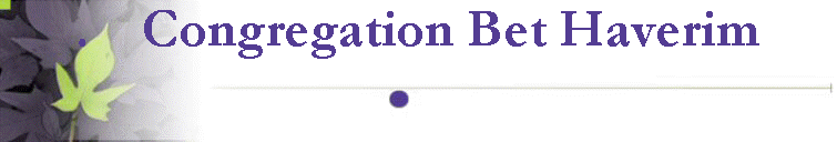 .    Congregation Bet Haverim